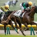 【東京6R新馬戦結果】サリオス産駒ミストヴェールが人気に応えてV