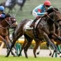 【東京5R新馬戦結果】エフフォーリア産駒ノヴァルクスが突き抜け快勝
