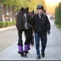 日曜京都競馬場の注目激走馬…京都１１Ｒ菊花賞・Ｇ１
