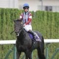 【菊花賞】ロブチェン３冠ならず…まさかの１４着で史上９頭目の快挙逃す　松山弘平騎手＆杉山晴調教師コンビの偉業も消えた