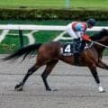 【神無月S結果】ベルジュロネットが抜け出し快勝