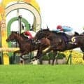 【菊花賞】バステール悔しい鼻差！日本ダービー３着馬は写真判定で２着に泣く　メンバー最速３４秒９の豪脚も　