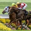【萩S】エフフォーリア産駒イッペイが2勝目！武豊ヴァンクライは折り合い欠いて5着