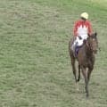 「かわいい」57歳・武豊が神騎乗→レース直後の“仕草”に注目集まる…「芸術的」三冠阻止で“レジェンド”トレンド入り