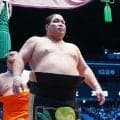 【九州場所新番付】36歳錦木残留ならず…“イケメン”大森は東11枚目、天昇山は西筆頭／幕下編