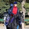 【天皇書・秋・角田の特注馬】リアライズシリウスは追い切りの動きが結果に直結　叩き２走目の今回は明確に上昇ムードだ