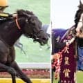 【天皇賞・秋】クロワデュノールとマスカレードボールが最高値…プレレーティング発表