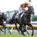 【AI予想・天皇賞(秋)】前走好走馬に良績が集中！ 本命候補は東京での実績あり