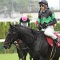 【ＢＣターフ】ディープモンスターは大外１４番枠　日本馬初制覇目指す　枠順決定