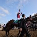 【ＢＣクラシック】フォーエバーヤングは５番枠から連覇狙う　テーオーパスワードは木村和士騎手で参戦　枠順決定