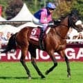 【注目馬動向】メイショタバルはジャパンＣ出走へ　近日中に帰厩　武豊騎手と挑んだ凱旋門賞以来となる秋初戦