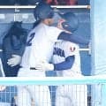 【高校野球】横浜が優勝　２年ぶり５度目　健大高崎を破り秋の関東制す