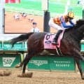 【ＢＣスプリント】アメリカンステージは６番枠　テーオーエルビスは１１番枠から日本馬初制覇目指す　枠順決定