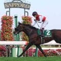 【ＰＯＧ】札幌２歳Ｓ覇者のショウナンガレオン　３連勝へ美浦で調整中　加藤士調教師「もう少しふっくらしてほしい」
