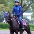 【今週のトク注新馬】イクイノックスの全妹エクアトーレが天皇賞・秋の前日にデビュー　田中博調教師「本当にいい走りをする」