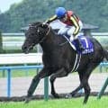 【天皇賞(秋)予想オッズ】クロワデュノールが予想1番人気