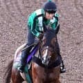 【天皇賞・秋】シェイクユアハートは充実一途　３勝クラス卒業に１５戦要したのがウソのよう...宮調教師「競馬のうまさに...」