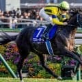 令和の盾男 C.ルメール騎手が史上最多タイの天皇賞(秋)7勝目なるか