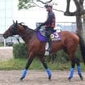 【天皇賞・秋】ホウオウビスケッツは６歳秋を迎えても衰えなし　奥村武調教師「状態はピークと言っていいくらい」
