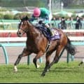 １６年の皐月賞馬ディーマジェスティが種牡馬を引退　ＵＡＥダービーを勝ったワンダーディーンの父