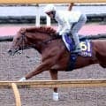 【天皇賞・秋】日本ダービー馬ダノンデサイルが３着続きに終止符　安田調教師「僕個人としても３着はもう見たくはない」