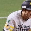 「めちゃくちゃ吠えててカッコよすぎだ」2年連続日本一の“立役者”に　古巣相手に山本祐大が「かっこよかったよぅ」「ガッツポーズ熱すぎた」