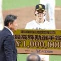 正木智也 日本シリーズMVPに選出