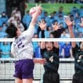 春高バレー　11月7日から長野県ファイナルラウンド　男子はV3目指す松本国際が軸か