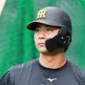 【阪神】台湾WLに井坪陽生、川崎俊哲、山崎照英の３選手派遣　11月14日～12月６日まで