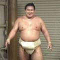 豊昇龍、２日連続の出稽古　右膝手術からの復活へ「日に日に良くなっている」