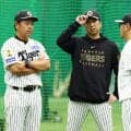 【阪神】藤川監督　高知キャンプに向け「いい準備、下準備はできているのかな」／一問一答
