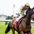 【競馬予想】天皇賞・秋は「２強」断然ムードでも波乱の余地あり　穴党記者が密かに狙う伏兵２頭