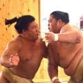 琴桜が白星もボールもがっちりキャッチ　７連勝含む17番13勝、稽古後はミットでも快音