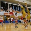 春高バレー、千葉の決勝カード決まる男子は習志野×市船橋　女子は植草学園大付×敬愛学園
