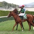 【ファンタジーＳ・陣営談話】首差惜敗２着のフェリチタ　松山弘平騎手「距離は全然大丈夫でした」