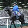 【天皇賞・秋・土曜気配】春秋連覇を狙うクロワデュノールは堂々の競馬場入り　陣営「春３戦と同じような感じ」