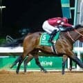 連覇に立ちはだかる馬は？ フォーエバーヤングの強力ライバルを紹介