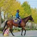 「あつすぎる…」「人気上がってて滅…」天皇賞・秋の前売り３番人気馬に反応さまざま　Ｇ１・３勝馬レガレイラ