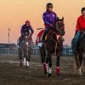 【BCクラシック枠順】史上2頭目の偉業達成へ！フォーエバーヤングは5番ゲートから連覇へ挑戦