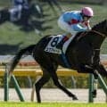 【新馬/東京5R】イクイノックス全妹エクアトーレが圧巻のデビューV！兄を彷彿とさせる末脚で3馬身差完勝