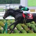 【BCターフ枠順】日本馬ディープモンスターは13番ゲート、欧州凱旋門賞組も参戦