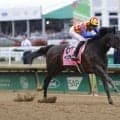【BCスプリント枠順】日本勢はテーオーエルビス、アメリカンステージが参戦