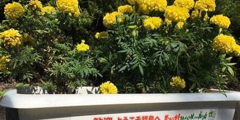 大会2日目、女子団体3回戦、準々決勝結果 [南東北インターハイ]