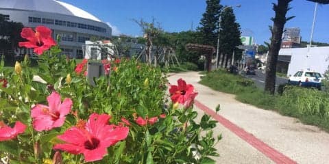 旅ランin沖縄県那覇市！治療院併設の「Run Ride Point」でランニングを楽しむ