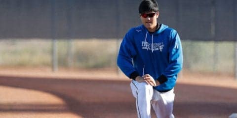 ハム大谷翔平をメジャー17球団27人が視察　札幌Dに集結したチームの内訳は？