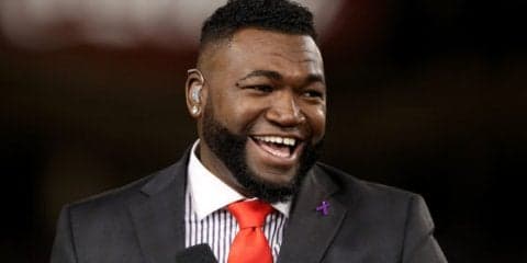 【MLB】通算541発オルティス氏が犬のトリマー!?　米TV番組で意外な他業種に挑戦