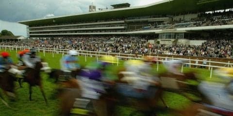 パドックや地下馬道を走る「バックヤードマラソンin中京競馬場」開催