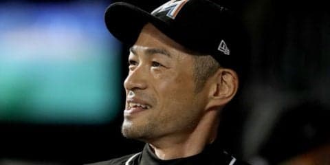 【MLB】米で新発見のハチに「ichiroi」　イチローにちなんで命名、論文発表
