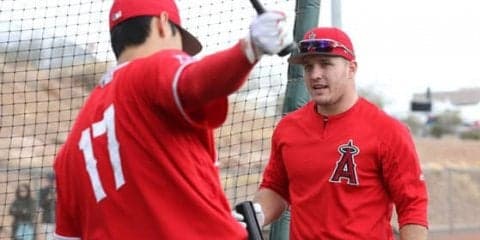 トラウトが大谷の打撃に熱視線!?　MLB公式が注目「ついに大谷を目にした」