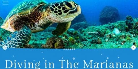 マリアナ政府観光局がダイビングサイト公開…ダイビングポイントや生き物等を紹介